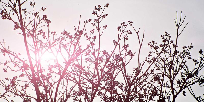 亲子游乐高质量陪伴指南：放下手机，掌握乐园互动的五大黄金法则