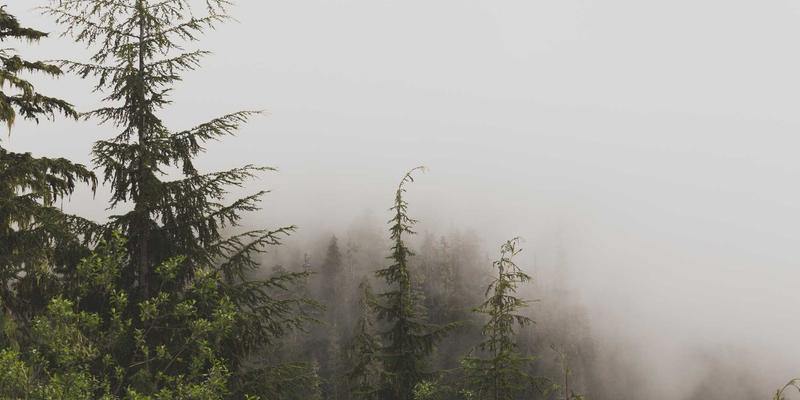 从玩中学：儿童乐园如何巧妙设计游戏，轻松实现数学与语言启蒙