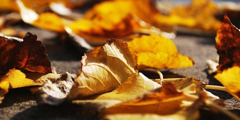 儿童乐园中的感统训练：巧用游乐设施促进孩子前庭觉发展的5大方法