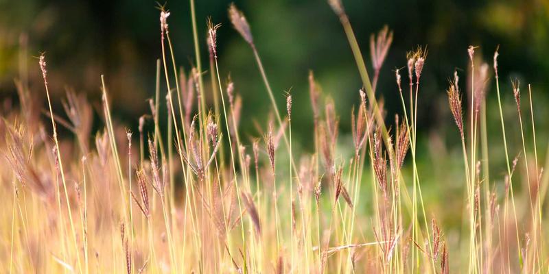 儿童乐园俱乐部家长社群运营指南：三步构建高质量亲子教育交流与互助平台