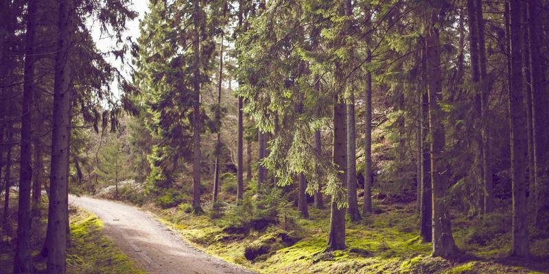 儿童乐园里的“慢游乐”：如何通过非结构化游戏时间培养孩子的专注力与自主性