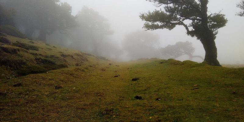 儿童乐园里的社交第一课：如何引导孩子在游乐中学习分享、合作与解决冲突